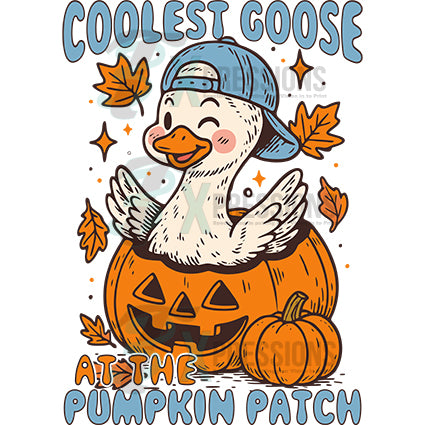 Coolest goose in the pumpkin patch boy