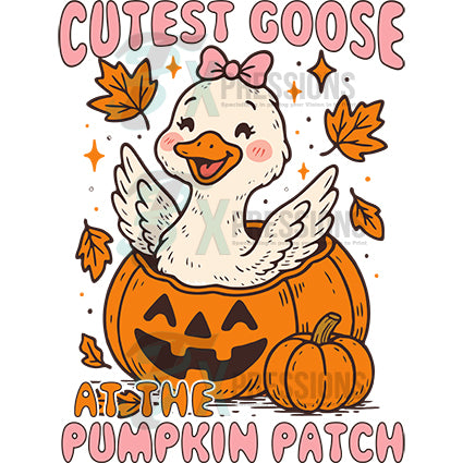 Cutest goose in the pumpkin patch girl