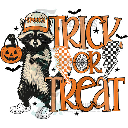 Trick or Treat Racoon