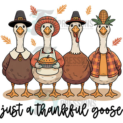 Just a Thankful Goose