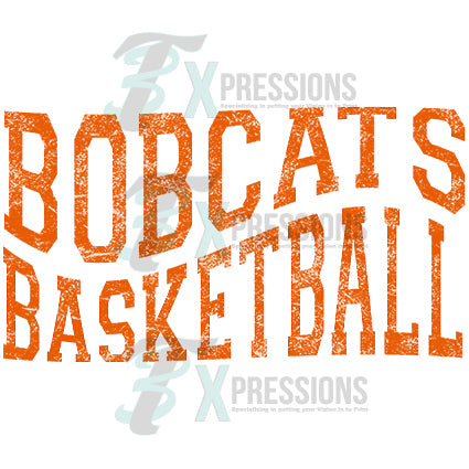 BOBCATS BASKETBALL