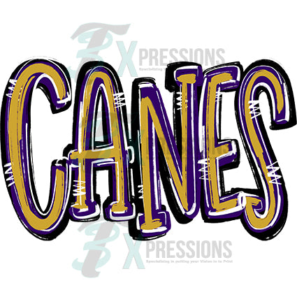 Canes vegas gold and purple