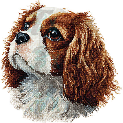 NEEDLEPOINT PETS CAVALIER SPANIEL
