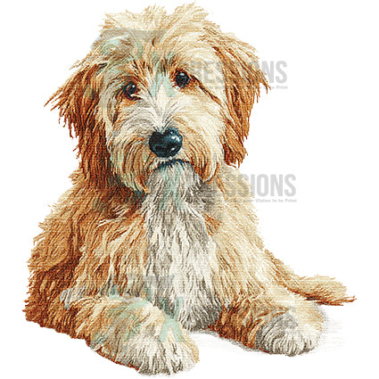 NEEDLEPOINT PETS GOLDEN DOODLE 2