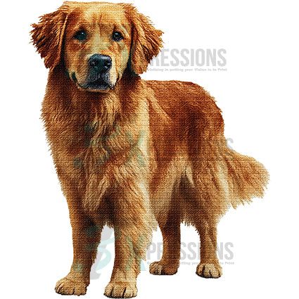 NEEDLEPOINT PETS GOLDEN RETRIEVER