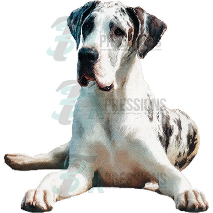 NEEDLEPOINT PETS GREAT DANE 2