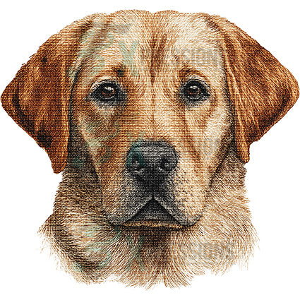 NEEDLEPOINT PETS LABRADOR RETRIEVER