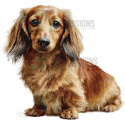 NEEDLEPOINT PETS LONG HAIR DACHSHUND
