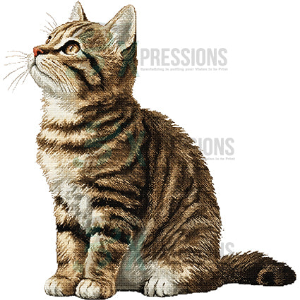 NEEDLEPOINT PETS TABBY CAT