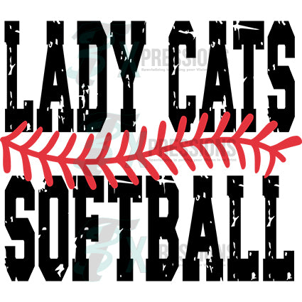 Personalized stitched distressed Softball Seam