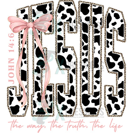 Jesus the way the truth the life