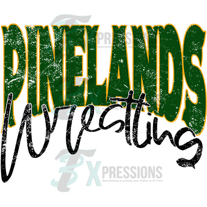 Personalized Arched Distressed mascot with script - Bling3t