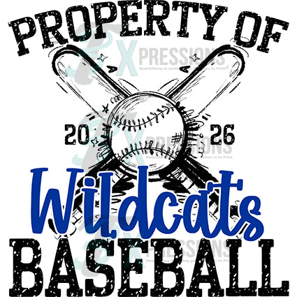 Personalized Baseball Property of