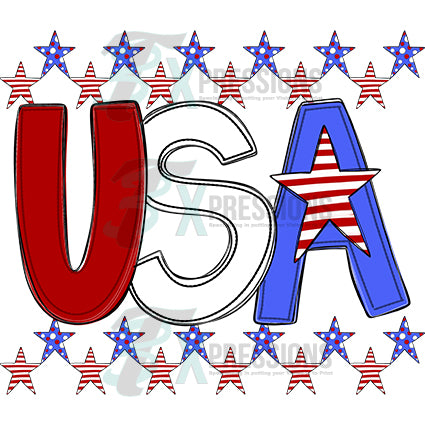 USA STAR BORDER NO BOW