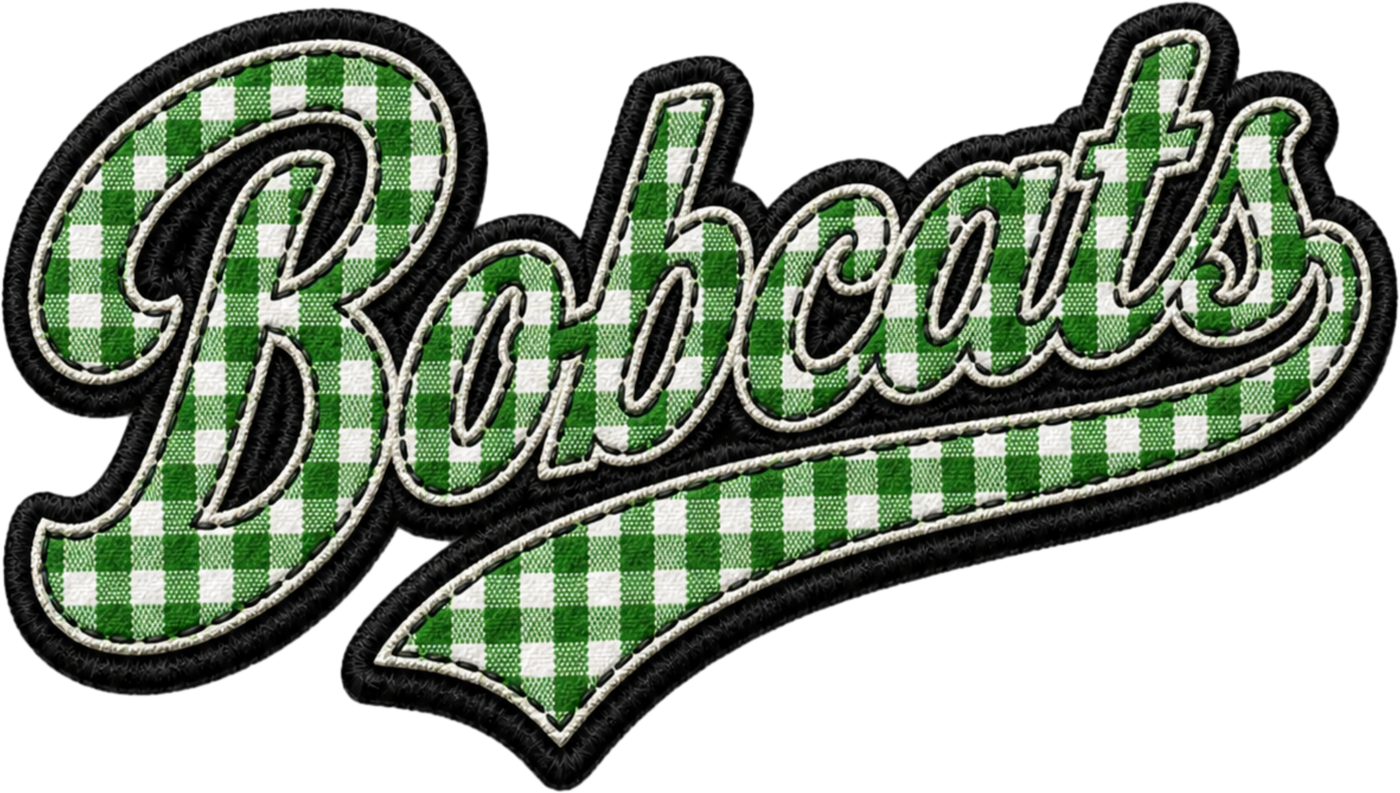 Bobcats Gingham Script Green DTF transfer