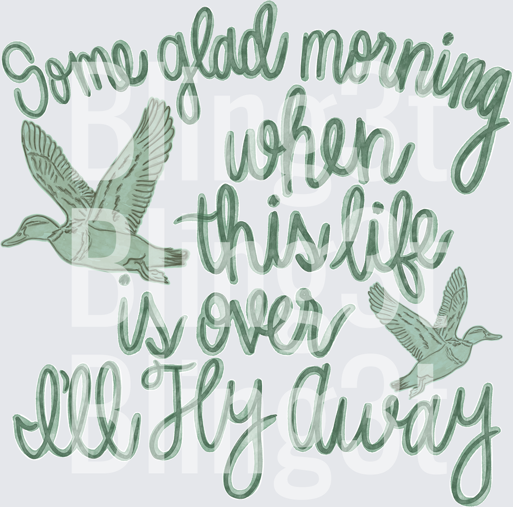 Some glad morning, i'll fly away
