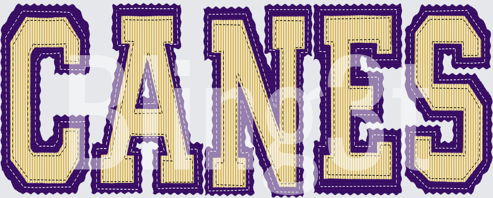 canes purple trim prepster