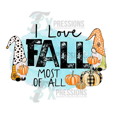 I Love Fall Most of All Gnomes