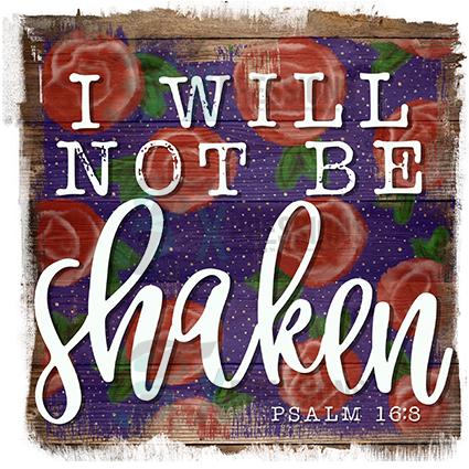 I  will not   be Shaken