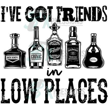 I've Got Friends in Low Places