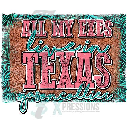 All My Exes Live In Texas