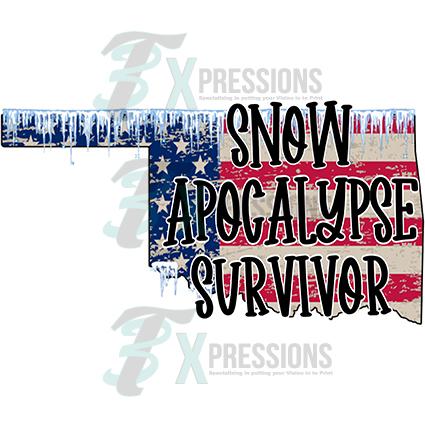 Snow apocalypse Survivor Oklahoma