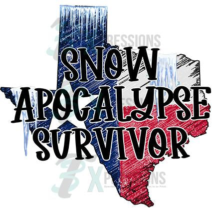 Snow apocalypse Survivor Texas