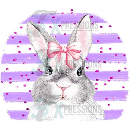 Gray Bunny with purple striped background