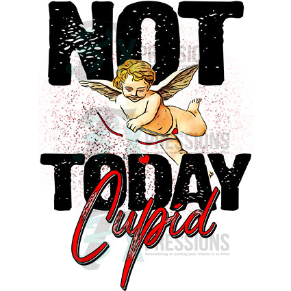 Not Today Cupid