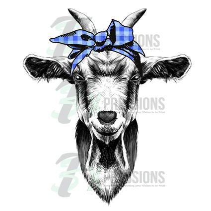Blue Gingham Scarf Goat