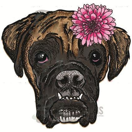 Boxer With Flower